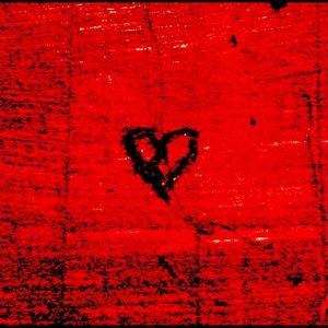 Meet your Posher, Xo